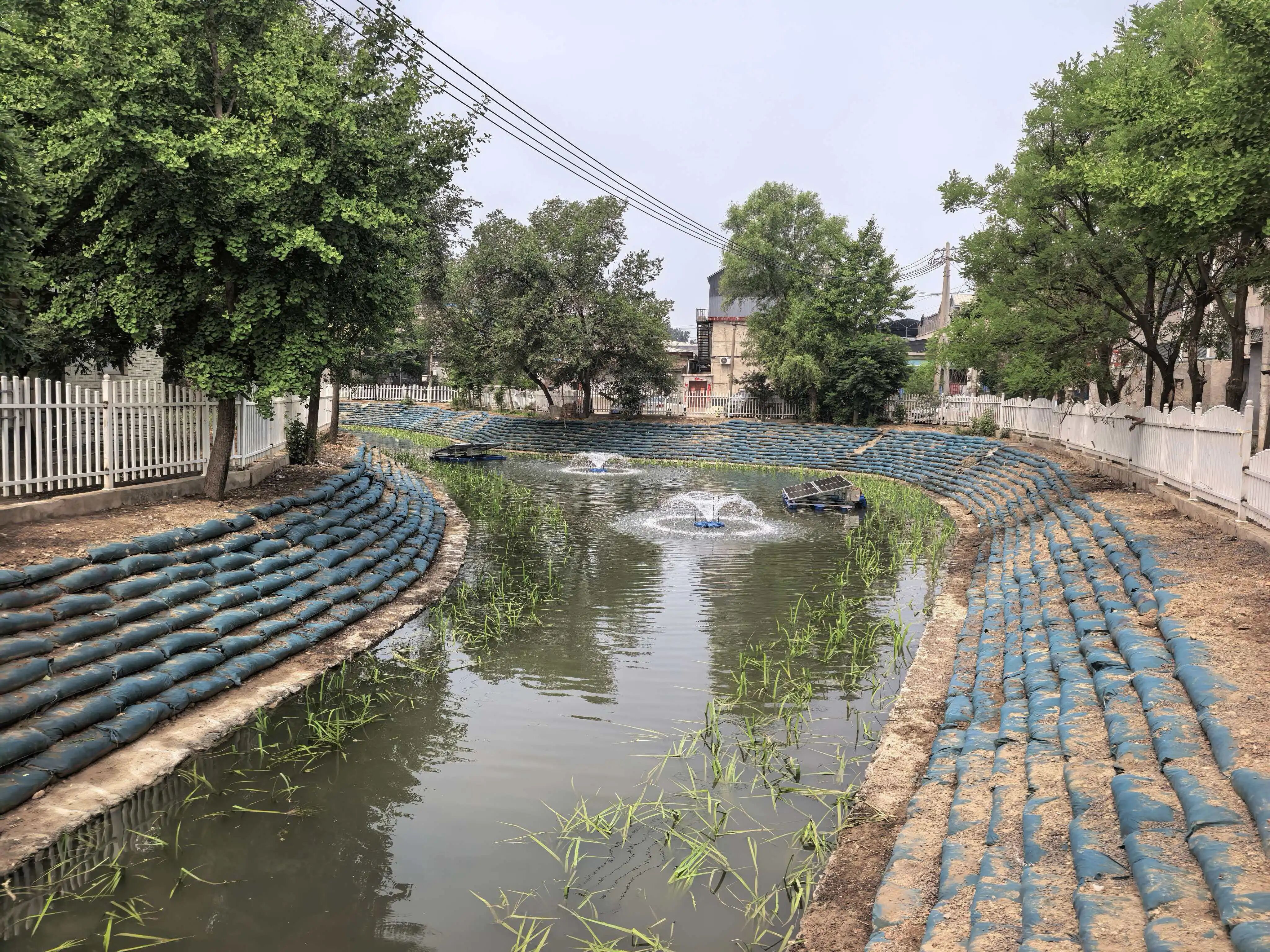 打造北方乡村水系治理新标杆——兴寿镇河道水体生态修复工程纪实