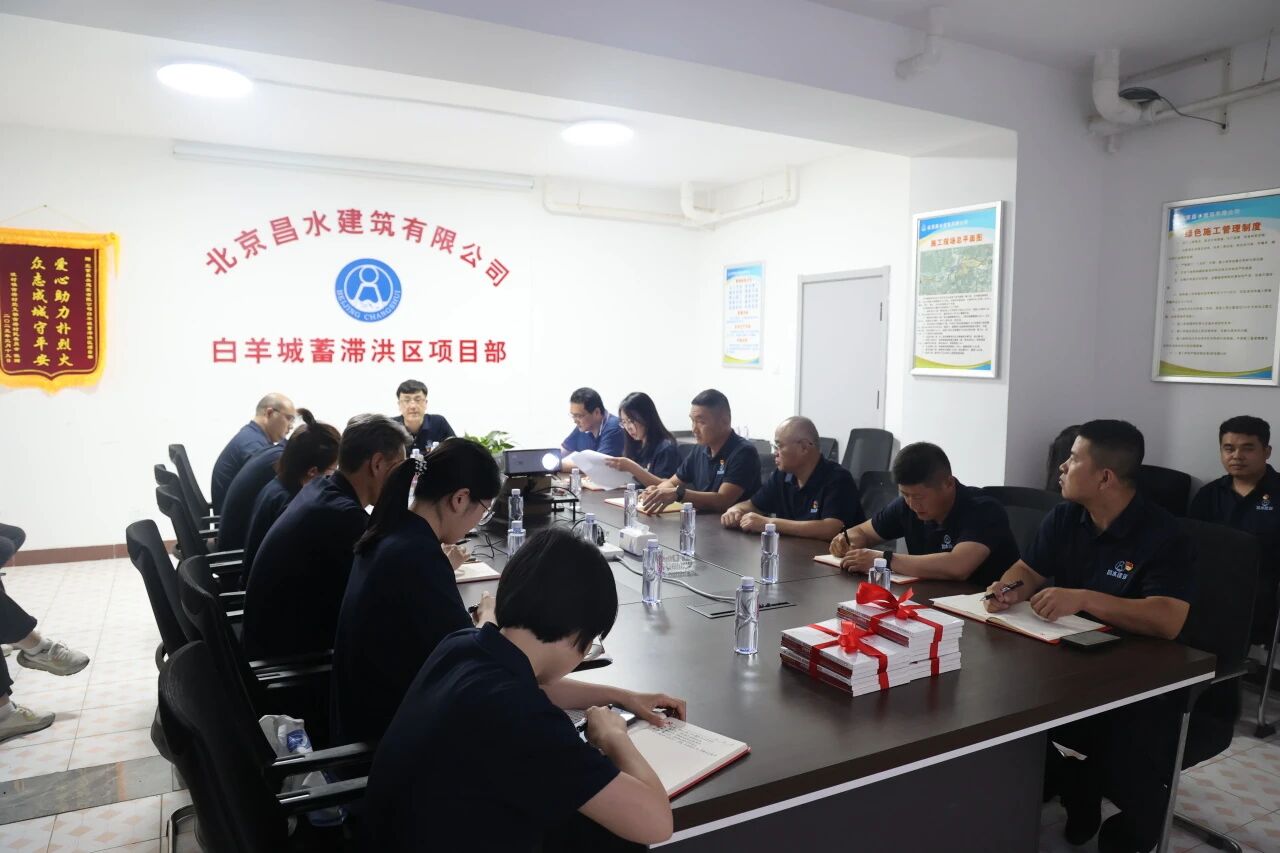 党旗飘扬在一线，凝心聚力促发展——昌水公司党支部组织广大党员走进工程项目现场